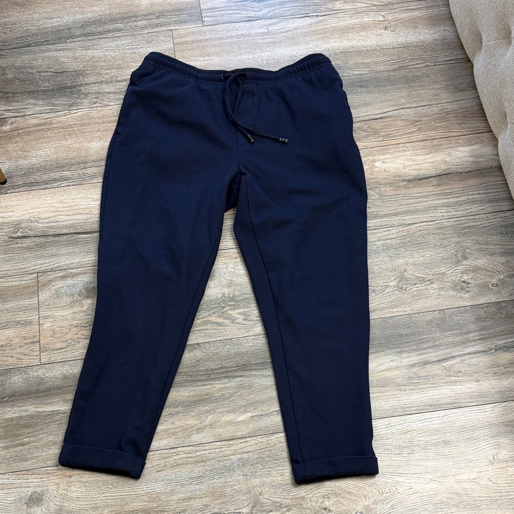 Zara Dark Blue Casual Pants joggers